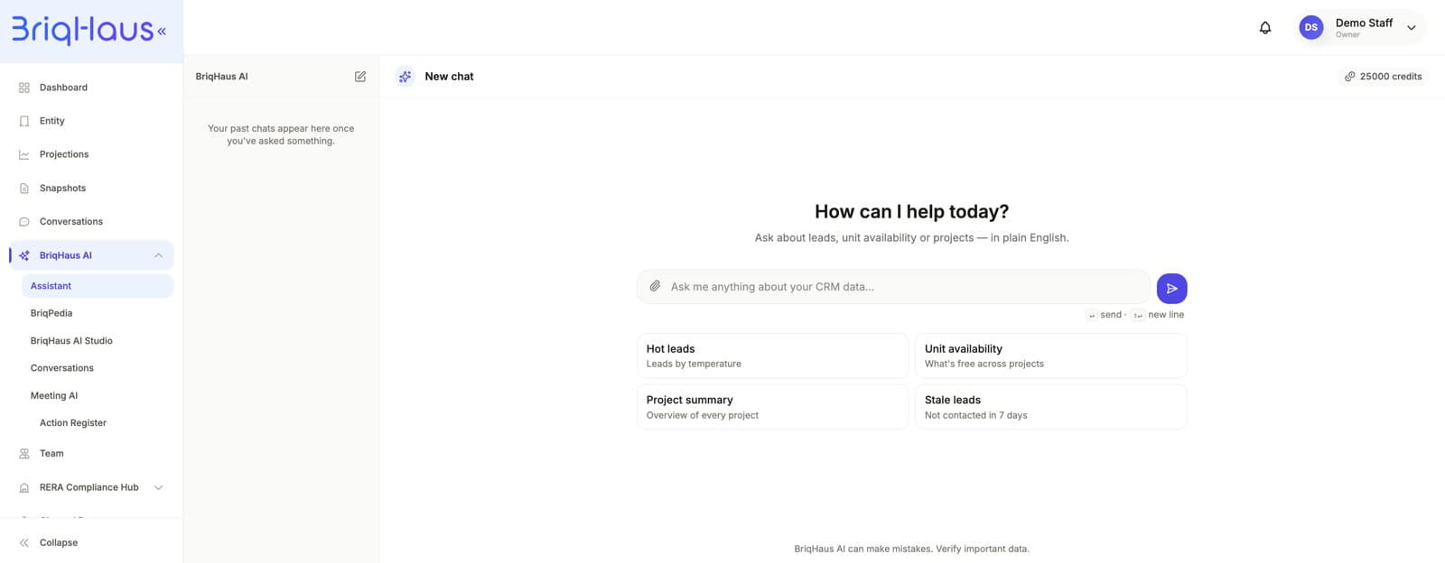 Briqhaus AI: the way into a product that otherwise takes prior knowledge. Ask in plain English, and the credit balance sits in the corner because the work behind it is real